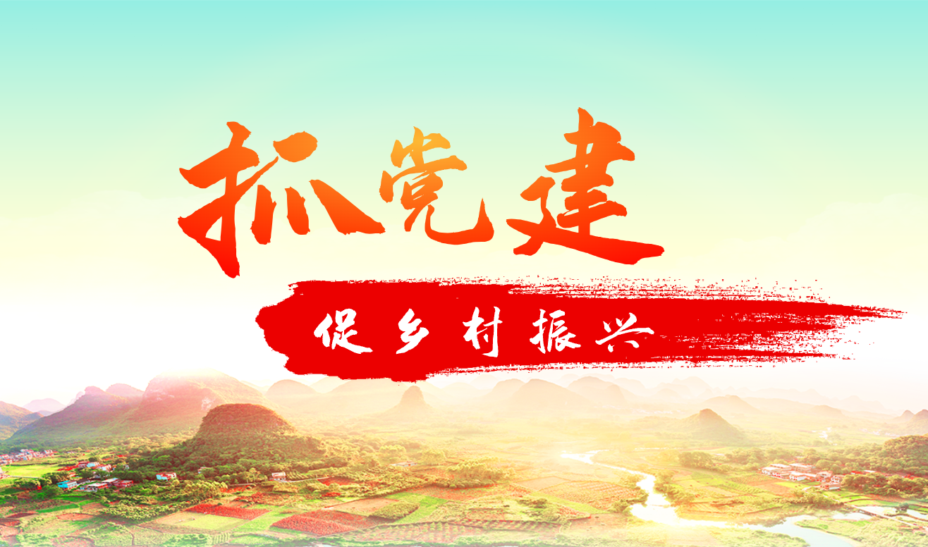 抓党建 促乡村振兴